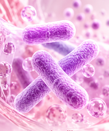 Lactobacillus acidophilus
